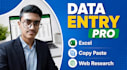 do excel data entry, copy paste and web research
