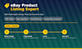 do professional ebay product listing and store optimization
