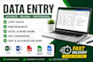 do accurate data entry, web research, copy paste and file conversion