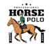 design modern awesome polo logo