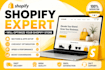 optimize shopify sections, apps, checkout and performance