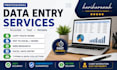 do data entry and excel data cleaning