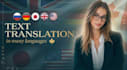 translate the text for you