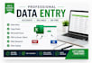 do accurate data entry, excel, copy paste,and PDF conversion