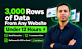 do web scraping, email scraping and data mining of any site