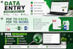 do accurate data entry, excel, PDF to excel, copy paste