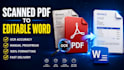 convert scanned PDF to editable word with ocr manually