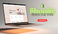 build a professional shopify store