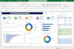 excel expert for data entry reporting