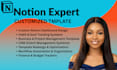 custom notion template, notion dashboard, notion expert notion template