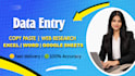 do accurate data entry, excel, copy paste and web research