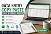 do accurate data entry,copy paste and excel work