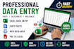 be your virtual assistant for data entry