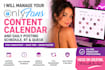 manage your onlyfans content calendar and daily posting schedule rt and queue