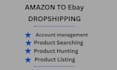 amazon to ebay  dropshipping