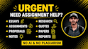 do neat and clean essays, letters, assignments, notes, documents, and quotes