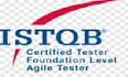perform testing that focused on client expectations