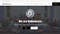 do ai integration, web dev, app dev, designing, API integration and fix bugs