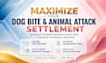 write an aggressive animal attack settlement demand package