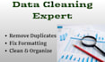 do expert excel data cleaning, sorting, and formatting