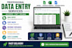 do google sheets and data entry