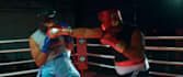 color grade your project
