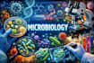 write microbiology research articles