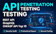perform professional API penetration testing and security assessment