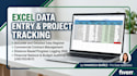 do professional excel data entry and project tracking