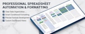 do clean format and validate your excel data in 1 to 2 hours