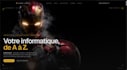 do custom web development and desktop software programming