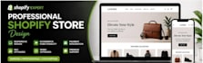 build a professional shopify dropshipping store