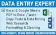 do professional data entry, copy paste and excel data entry