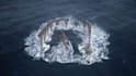 create fluid simulation, 3d water simulation, fire and liquid vfx effect houdini
