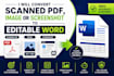 convert scanned PDF, image or screenshot to editable word