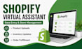 be  your shopify virtual assistant and data entry clerk