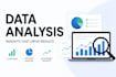 do your data analystic