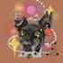 draw your pet whimsically