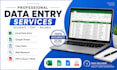 do fast and accurate data entry, copy paste and web research