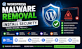 remove wordpress malware, install security, and fix wordpress errors