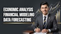 do professional economic analysis and financial modeling