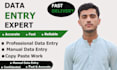 do excel data entry, formatting, copy paste, PDF to excel