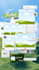 design aesthetic canva soacial media posts