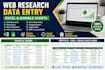 do web research and data collection