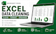 clean, format and organize your microsoft excel data