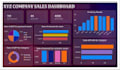 create a professional power bi dashboard with interactive reports