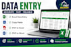 do data entry, excel data entry, copy paste and PDF to excel