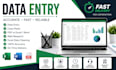 do accurate data entry excel data cleaning and copypaste