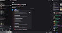 set up and design a professional discord server
