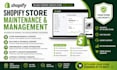 provide ongoing shopify store maintenance and support